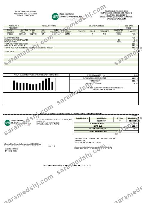 USA Deep East Texas Electric business utility bill template in Word and PDF formats